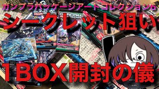 【開封動画】ガンプラパッケージアートコレクション6!!1BOX開封の儀 【ガンプラ】【シークレット】