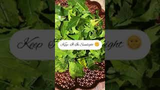 Neem Powder For Acne ,Pimples and Darkspot ||DIY neem Powder