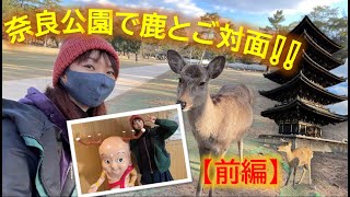 奈良公園行って鹿とご対面❕❕興福寺の五重塔も素晴らしい❕❕【前編】