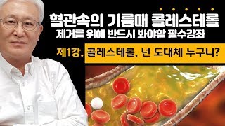 [E345] 혈관의 기름때 콜레스테롤 빼기 프로젝트 (1부) - 콜레스테롤, 넌 도대체 누구니?