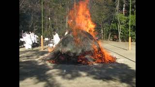 Yakuyoke Taisai Shono Shinji at Iwashimizu Hachimangu Shrine. Staring at the Flaming Fire.