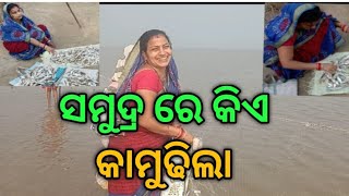 ସମୁଦ୍ର ରେ କିଏ କାମୁଢିଲା 😂😂😂 new vlog video