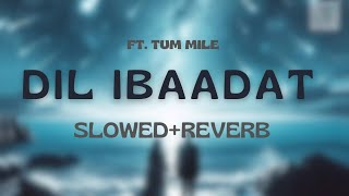 DIL IBAADAT (Slowed Reverb)- Tum Mile | Emraan Hashmi, Pritam | Lo-Fi