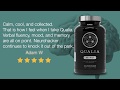 Calm, Cool and Collected - What our community is loving about Qualia Mind