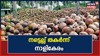 നാളികേര വിലയിടിവിൽ തകർന്ന് കാർഷിക മേഖല; കർഷകന് കിട്ടുന്നത്  കിലോയ്ക്ക് 24 രൂപ മാത്രം | Kerala News