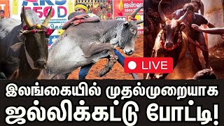 🔴LIVE : Jallikkattu | இலங்கையில் முதல்முறையாக ஜல்லிக்கட்டு போட்டி!|  Srilanka | சம்பூர், திருகோணமலை