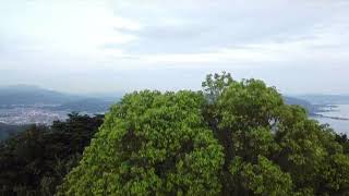 山口県周南市太華山からの風景!ドローン空撮動画