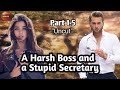 PART 1-5 UNCUT / A HARSH BOSS AND A STUPID SECRETARY / ZEBBY TV / #lovestory #inspirationalstories