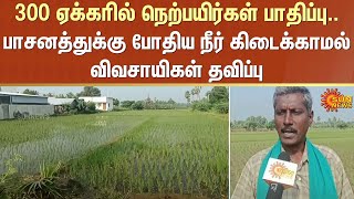 Erode | Farmers | Agriculture | No Water | Tamil Nadu | Sun News