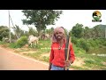 ಈ ದನ ಕಾಯೋನತ್ರ ಏನು ಮಾತು ಅಂತಾರೆ ii hallikar in karnataka ii hallikar cow