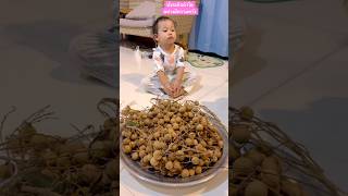 นั่งเฝ้า รอกินลำไยอย่างมีความหวัง #น้องกูเกิ้ลchannel #baby #cutebaby #cute