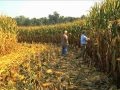 Georgia Farmer Sets New State Corn Yield Record