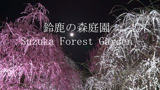 Quiet Tour of Suzuka Forest Garden (Mie, Japan)