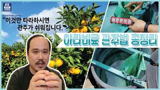 제주 감귤\u0026만감류 관주 시비프로그램 및 시비방법은? | 농사 100단