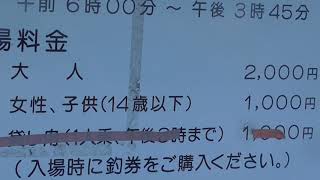 大人2000円とリーズナブルな和歌山県田辺市新庄鳥の巣イカダ釣り