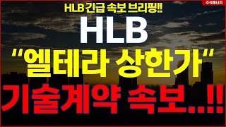 HLB그룹 에이치엘비 💥\