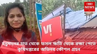 Purba Midnapur : হনুমানের হাত থেকে ফসল ক্ষতি থেকে রক্ষা পেতে কৃষিদপ্তরের অভিনব কৌশল গ্রহন