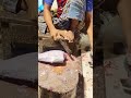 Amazing Giant Catla Carp Fish Cleaning Skills Live In Bangladesh Fish Market Part-34 #shorts