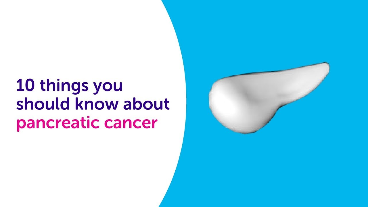 What Is Pancreatic Cancer: 10 Things You Should Know About Pancreatic ...