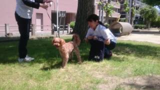 飼育実習0603-4動物・学校・新潟・長野