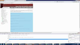 WebGoat - Bypass Client Side JavaScript Validation