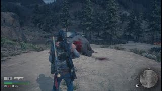 DAYS GONE oso vs zombie