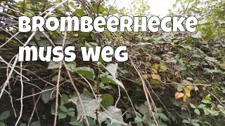 Hecke oder besser Gestrüpp muss weg. Wie ich alten Flieder und Brombeeren entferne. Fiskars Werkzeug