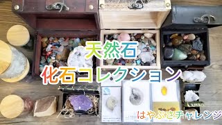 僕の集めた天然石と化石コレクションを紹介します💎皆さんも天然石パワーで癒やされて下さい🌿