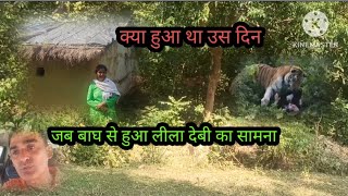 Tiger Attack on women Jim Corbett jungle | टाइगर टैऱिटरी में गाँव | Jim Corbett Tiger attack