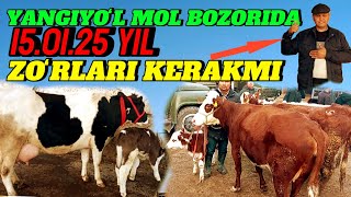 YANGIYOʻL MOL BOZORIDA ONA -BOLA SIGIRLAR NARXLARI BILAN TANISHAMIZ 🐄🐏🐑🐎🐃🐠🦬🐂🐫