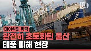 태풍 마이삭의 위력 / 완전히 초토화된 울산 피해 현장