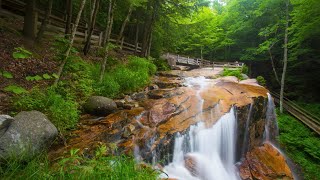 Cuerdas encantadoras: música original ambientada en impresionantes escenas de la naturaleza 🎻☀️🍃