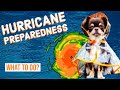 How to Prepare Your Pets for a Hurricane