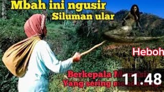 Gempar....! Sosok ular berkepala manusia bisa diusir sama Mbah.....