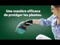 Kit sculpte-haies et taille-herbes sans fil Bosch Isio