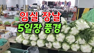 임실장날 5일장 풍경/김장배추/도토리묵/떡볶기/오뎅국물