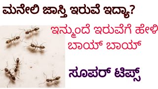 ಮನೆನಲ್ಲಿ ತುಂಬಾ ಇರುವೆ ಇದ್ಯಾ? ಇರುವೆನ ಕಡಿಮೆ ಮಾಡುವ ಸೂಪರ್ ಟಿಪ್ಸ್ ಗಳು #How To control Ants Home remedies