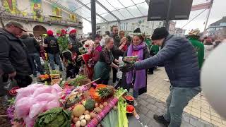 Ninofmedia Live -  Carnaval Ninove 2023