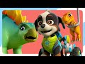 Pups Save a Triceratops and MORE Dino Rescues | Spin Kids Cartoon Treehouse | PAW Patrol