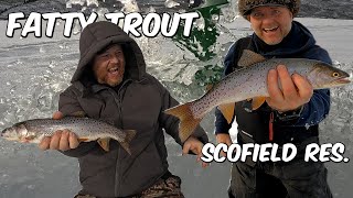 Catching Aggressive Cutthroat Trout at Scofield Reservoir