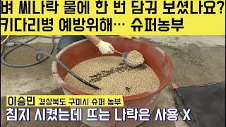 [한국농수산TV] 벼 씨나락 물에 한 번 담궈 보셨나요?? 키다리병 예방을 위해... 경북 구미