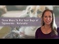 Three Ways To Rid Your Dog of Tapeworms - Naturally Three Ways To Rid Your Dog of Tapeworms - Naturally