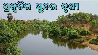 🏞️ ପ୍ରାକୃତିକ ପରିବେଶ ର ଜଙ୍ଗଲ ଝରଣା ଦୃଶ୍ୟ || Beautiful Nature Scenery