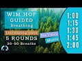 WIM HOF Guided Breathing | 30 to 50 Breaths 5 Rounds Increasing Pace | Up to 2:00min | No Voice