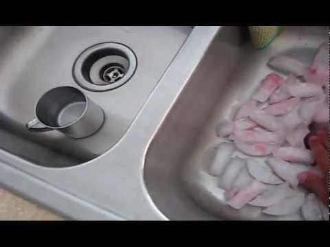 Cleaning a Garbage Disposal with ice cubes and rock salt Cleaning a Garbage Disposal with ice cubes and rock salt