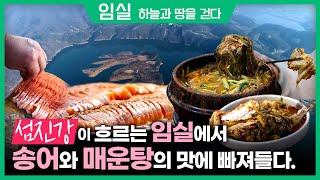 섬진강의 송어를 즐기는 방법/하늘과 땅을 걷다, 전북 임실 / 전라북도 임실군 / 봄맞이여행 / 봄 [ 테마기행길 ] 210408