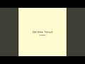Star Silver Tranquil