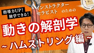 ヒトらしさの象徴としてある重要な裏ももの筋肉群『ハムストリング』についてもっと知ろう！