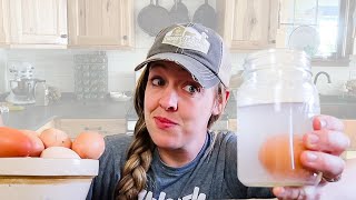 Finding the BEST Egg Preservation Method: Water Glassing vs Freezing vs Dehydrating