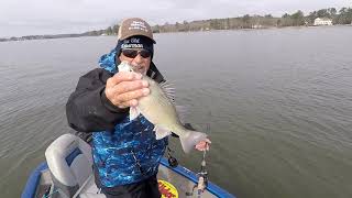 Slow Retrieve Is The Key For Cold Water Fishing On Lake Murray